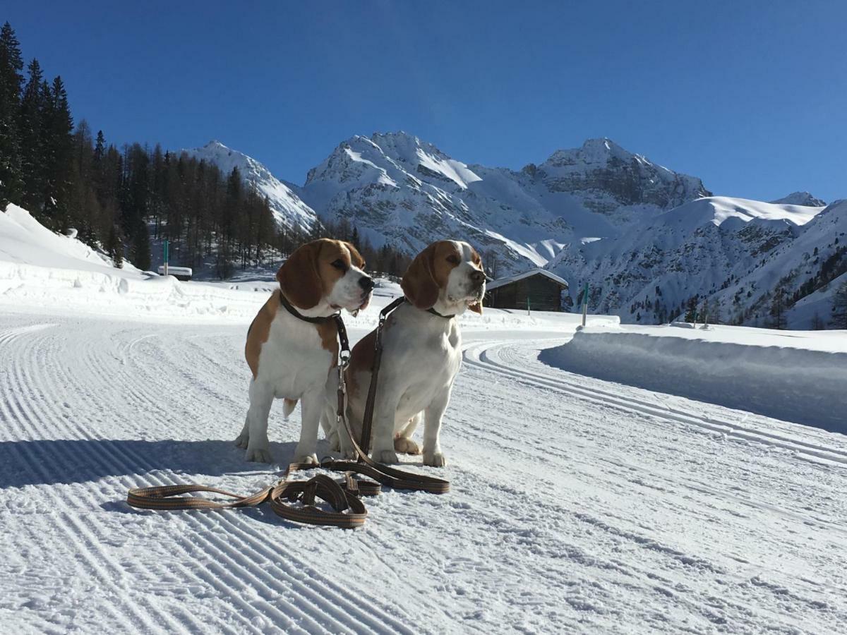 Sertig Ferienwohnung Davos Buitenkant foto