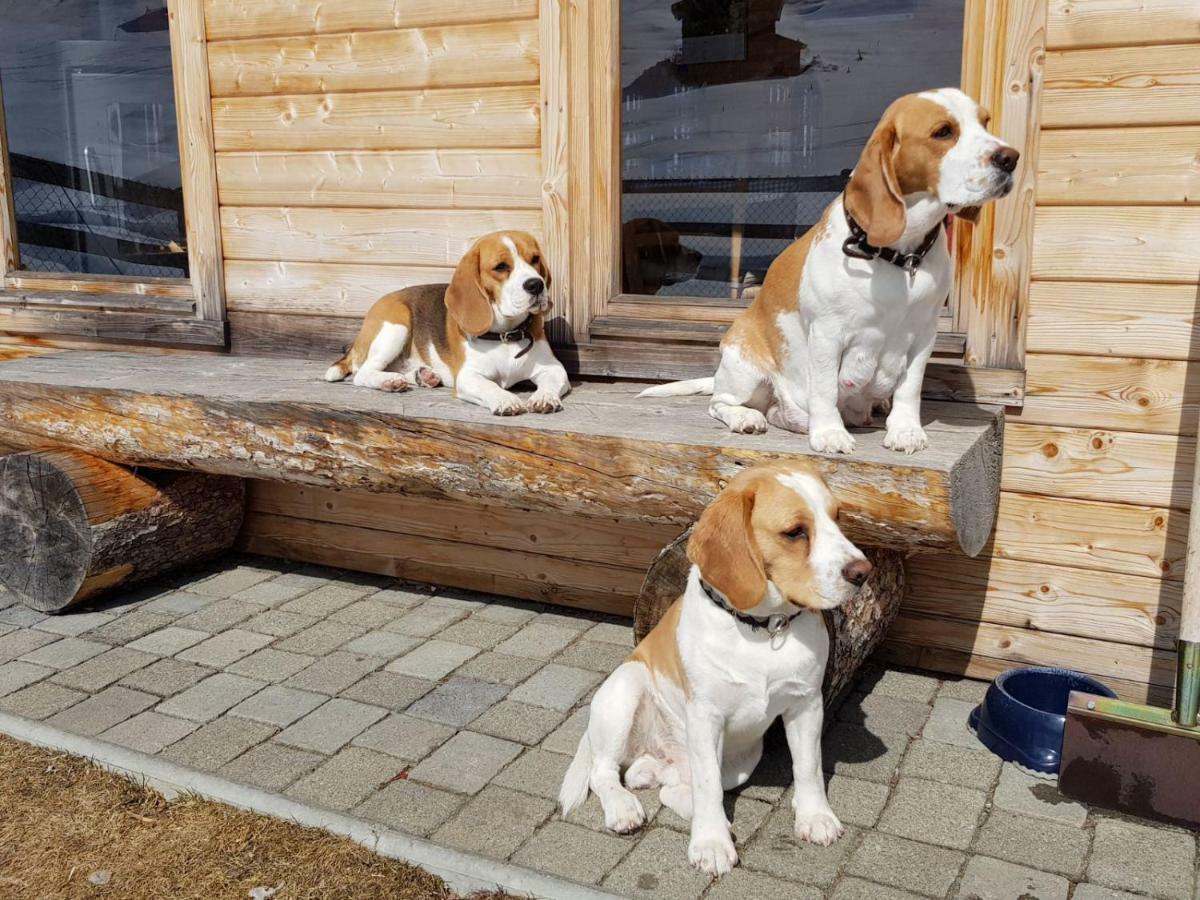 Sertig Ferienwohnung Davos Buitenkant foto